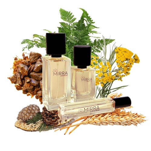 356 Old Fashioned.jpg