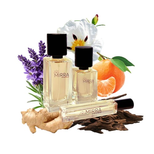 428 Fougere Dargent.jpg