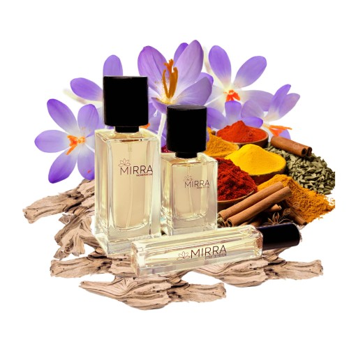 876 Safran Secret.jpg