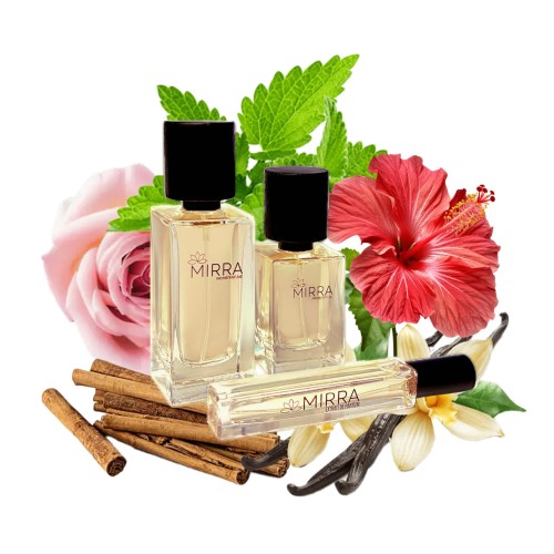 874 Hibiscus Mahajad.jpg