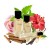 874 Hibiscus Mahajad.jpg