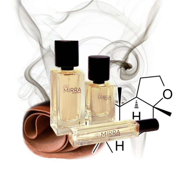 646 Terrible Teddy.jpg